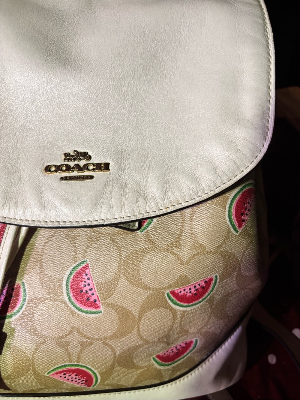 COACH Cream Signature Canvas Backpack with Watermelon Print - Picture 3 of 6